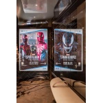 marvel-spiderman2-rose-w800px
