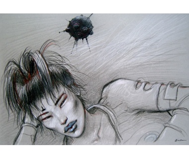 bilal-animalz-asiatique-w900x628px